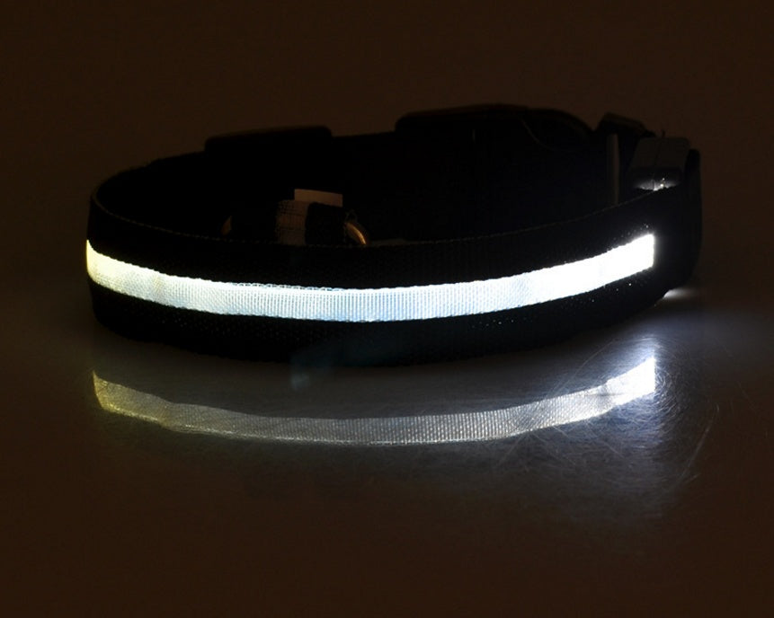 Petly - Nylon LED Hundehalsband