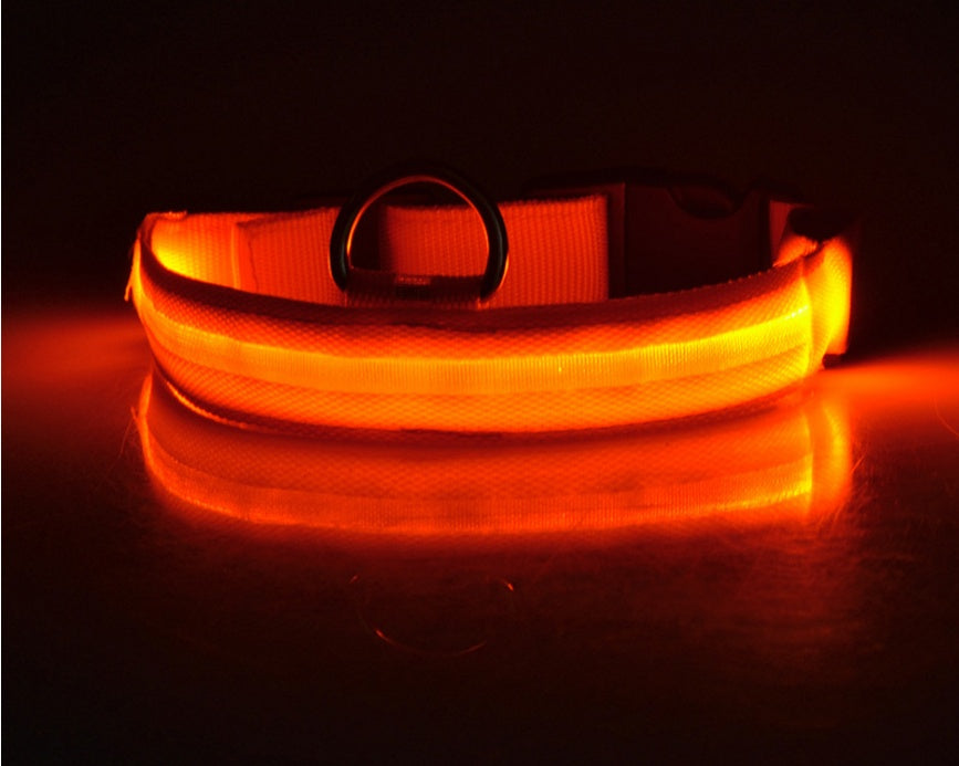 Petly - Nylon LED Hundehalsband