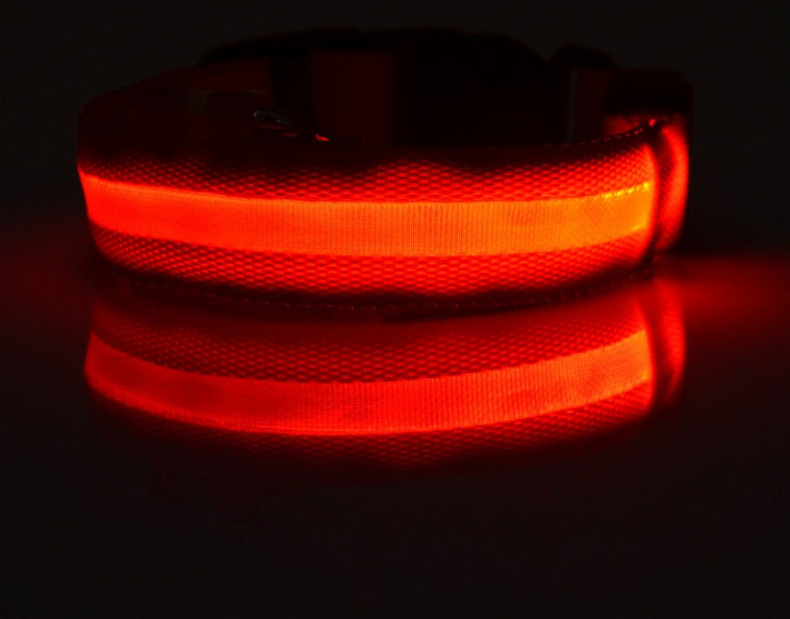 Petly - Nylon LED Hundehalsband
