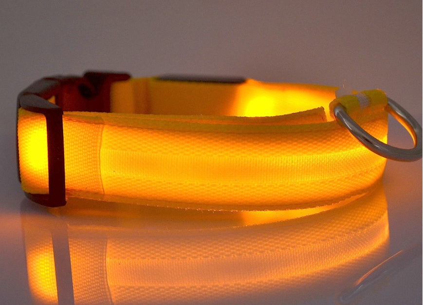 Petly - Nylon LED Hundehalsband