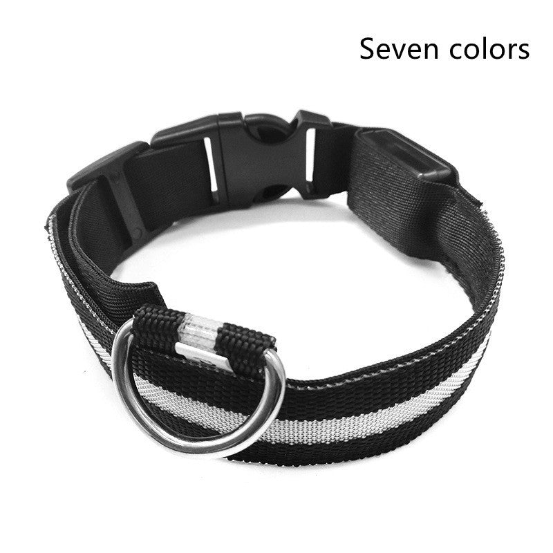 Petly - Nylon LED Hundehalsband
