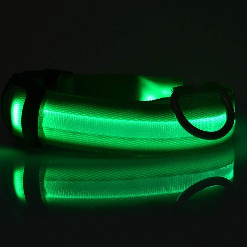 Petly - Nylon LED Hundehalsband