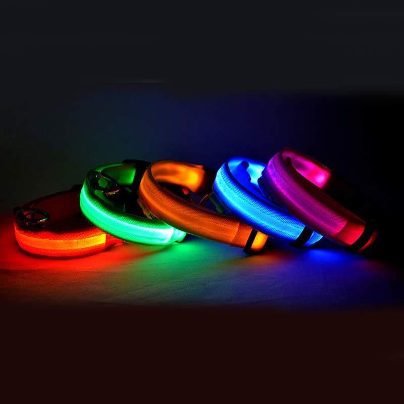 Petly - Nylon LED Hundehalsband
