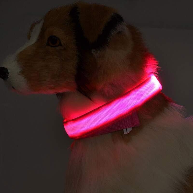 Petly - Nylon LED Hundehalsband