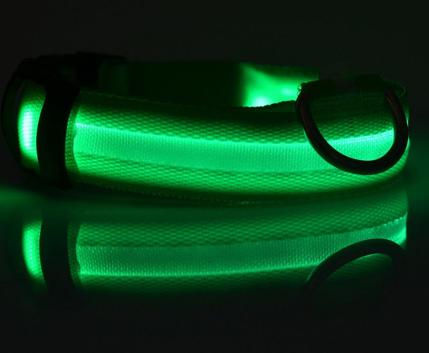 Petly - Nylon LED Hundehalsband