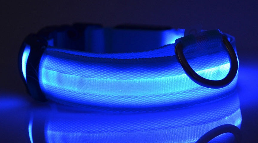 Petly - Nylon LED Hundehalsband